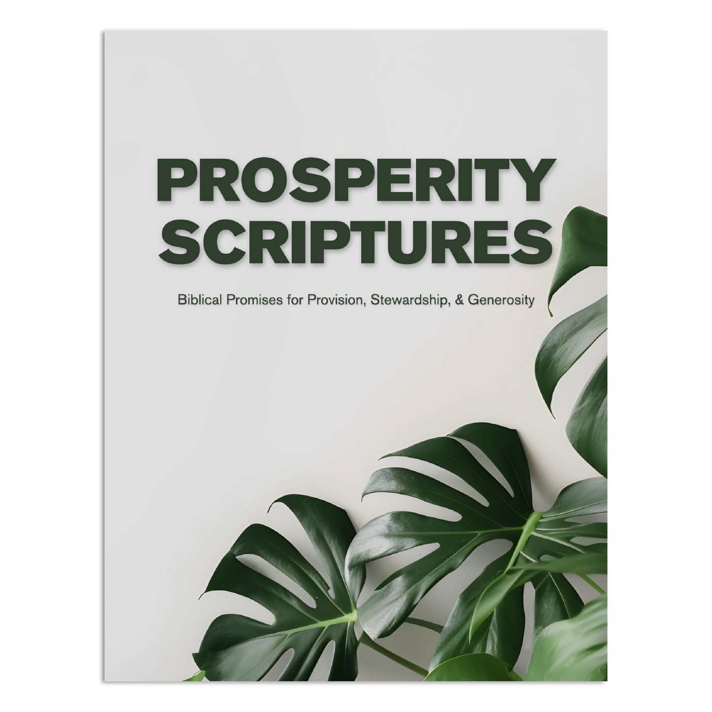 Prosperity Scripture Booklet