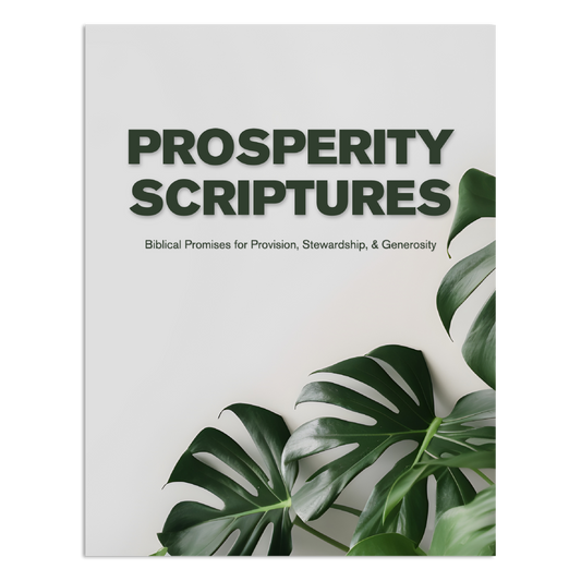 Prosperity Scripture Booklet