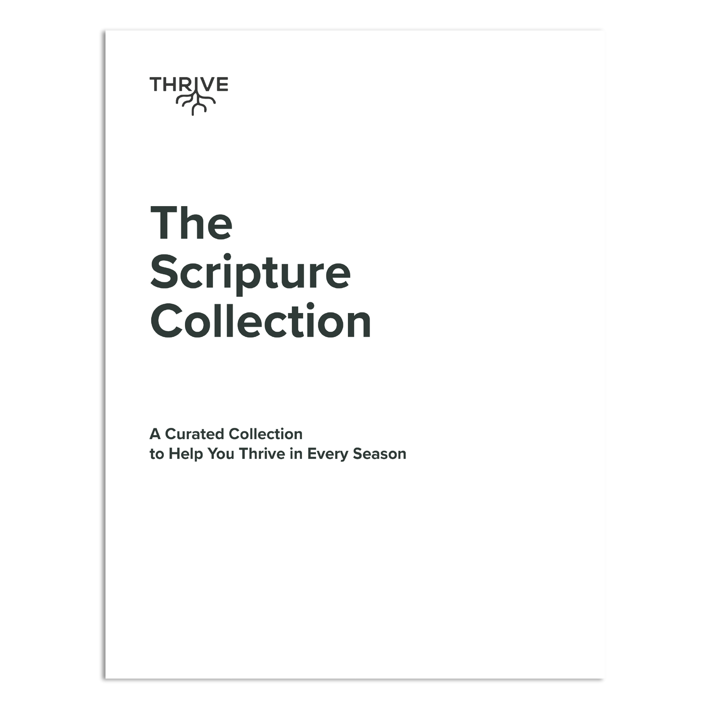 Paquete de tarjetas con las Escrituras