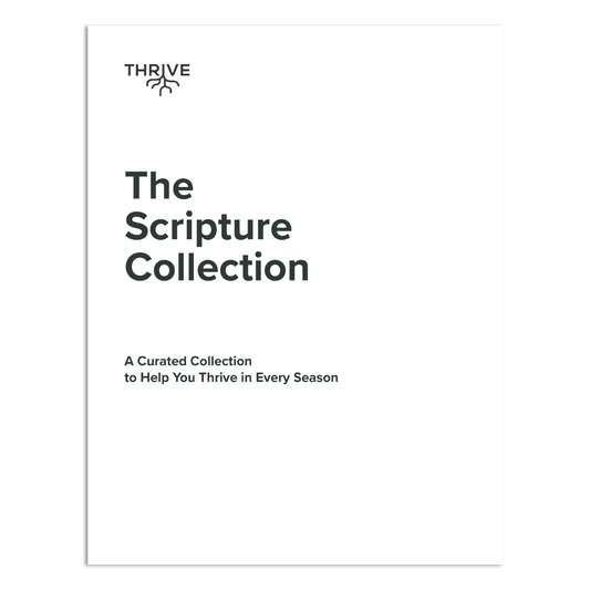 Paquete de tarjetas con las Escrituras