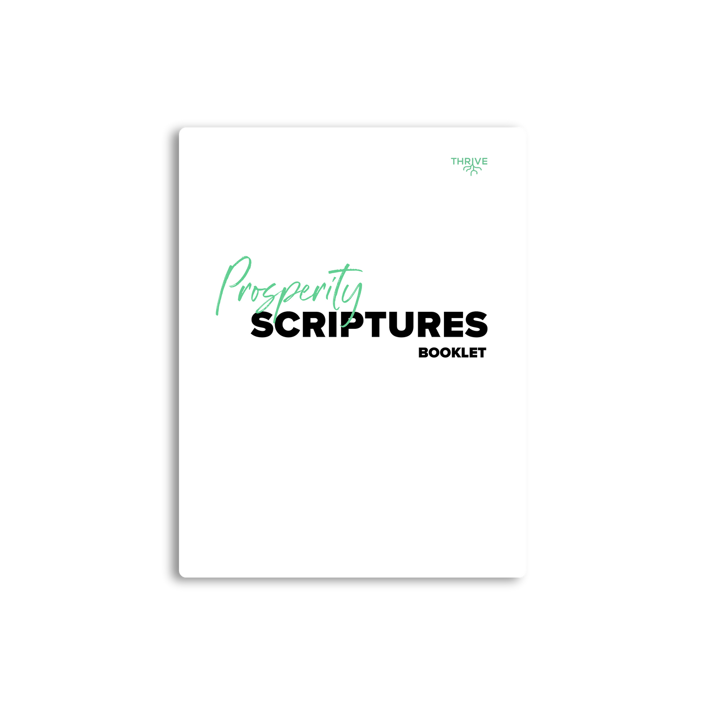 Prosperity Scripture Booklet